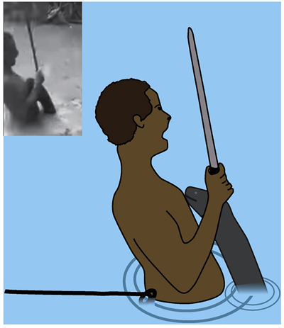 Kenneth Catania based this research on anecdotes and a video showing an electric eel leaping on a person