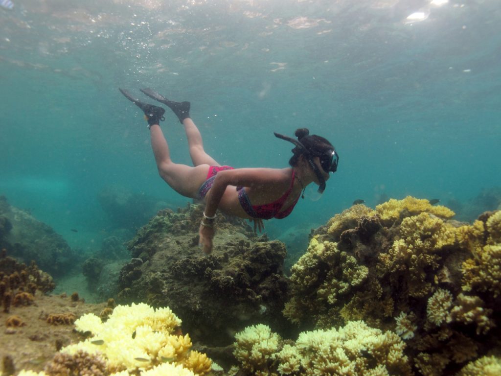 A diver in a healthier patch of coral