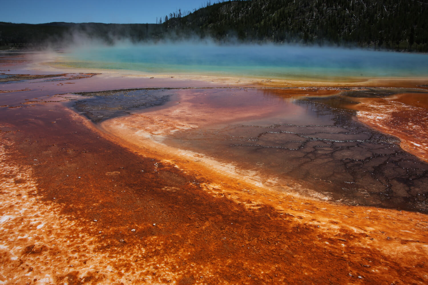 Extremophiles inhabit some of the most extreme places on Earth
