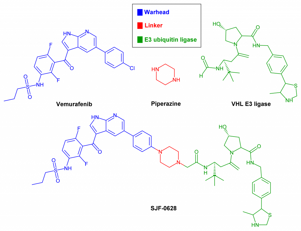 Structure of PROTAC SJF-0628.