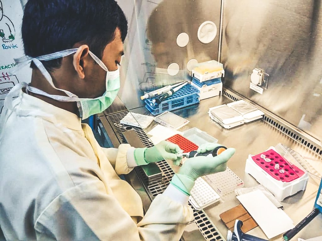 Testing Wolbachia content in mosquito samples. Credit WMP Yogyakarta