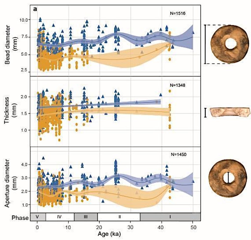 Bead shape changes over 50,000 years
