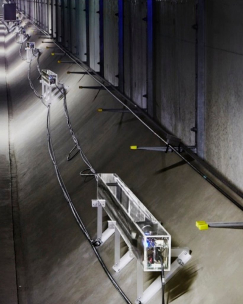 The muon detector in the Tokyo Bay road tunnel
