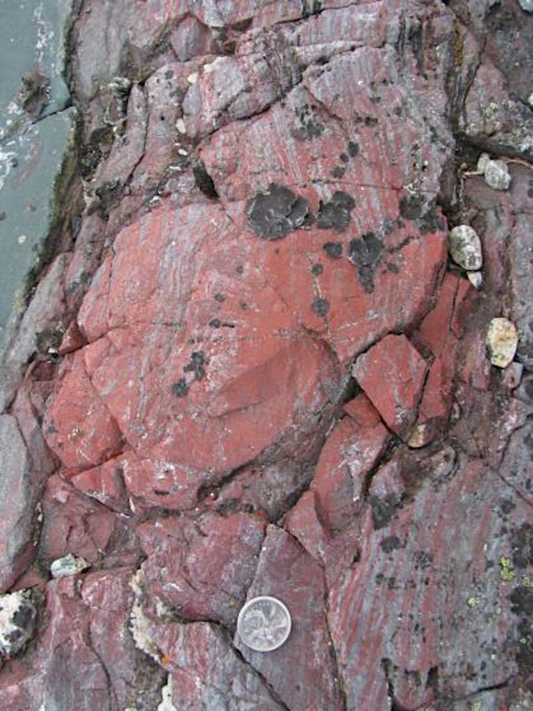 Iron- and silica-rich rock, which contains tubular and filamentous microfossils