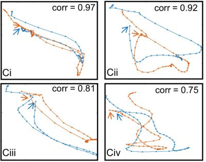 The path that the tongue takes during a yawn is different in different people. Still, each person's yawn is consistent and unique