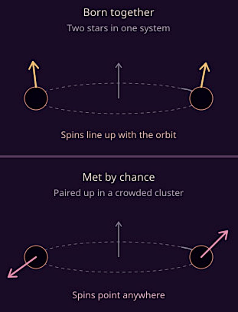 Two black holes that grew from a pair of stars tend to spin roughly in line with the way they orbit. Two that met by chance in a crowded cluster do not.